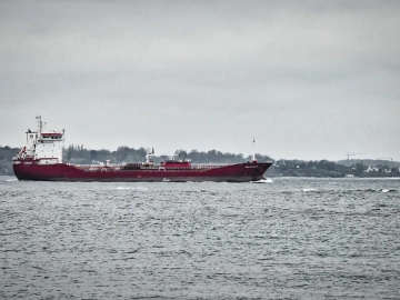 What are the main responsibilities of a foreign trade import and export agency?