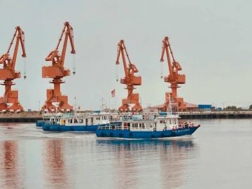 Re-export CO: The Hidden Code of International Trade?