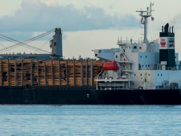 Incroyable ! Il y a tellement de subtilités dans le paiement des impôts par les agents d’import-export