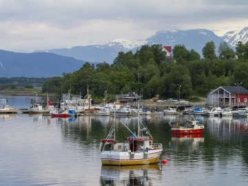 Retard de paiement de l’agent d’exportation ? Attention à votre portefeuille !