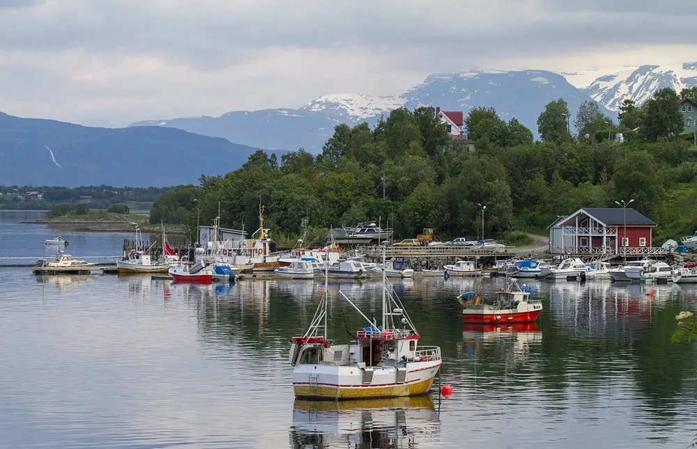 Processus d’exportation des transitaires internationaux, vous perdrez gros si vous ne comprenez pas !