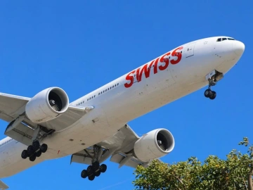 Uncovering the Dark Side of Import Agency