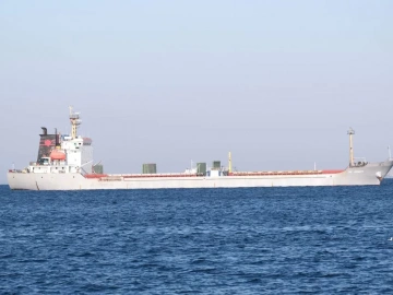 What are the duties of a foreign trade import and export agency?