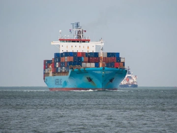 Shocking! These Secrets Are Hidden Behind the Price of Olive Oil