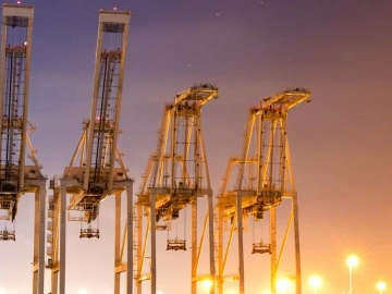 Mandataire pour la demande de licence d’import-export ? Tout ce que vous devez savoir est ici !