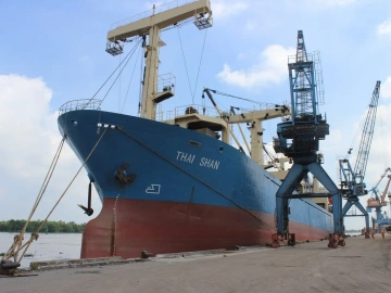 What are the main responsibilities of a foreign trade import and export agency?