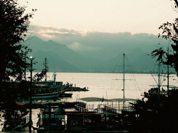 The difference between import and export agent and customs broker