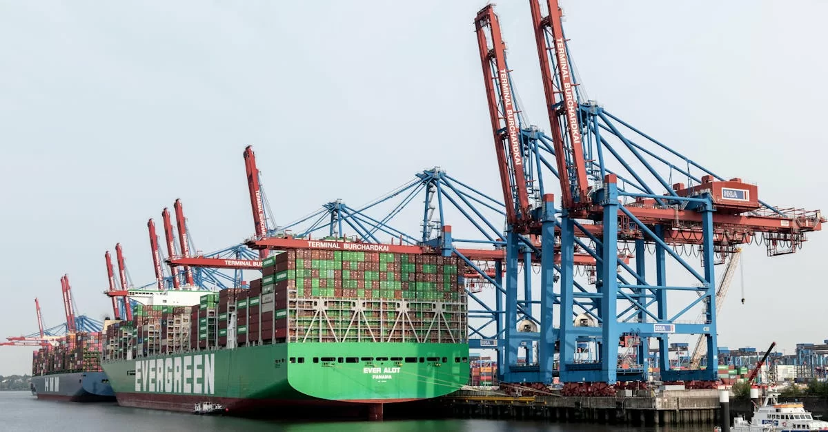 ¿Realmente conoces los servicios de despacho de aduanas?