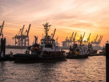 Is the 1039 Agent a Shortcut or a Minefield for Foreign Trade?