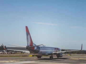 What are the operating procedures of foreign trade agency export?