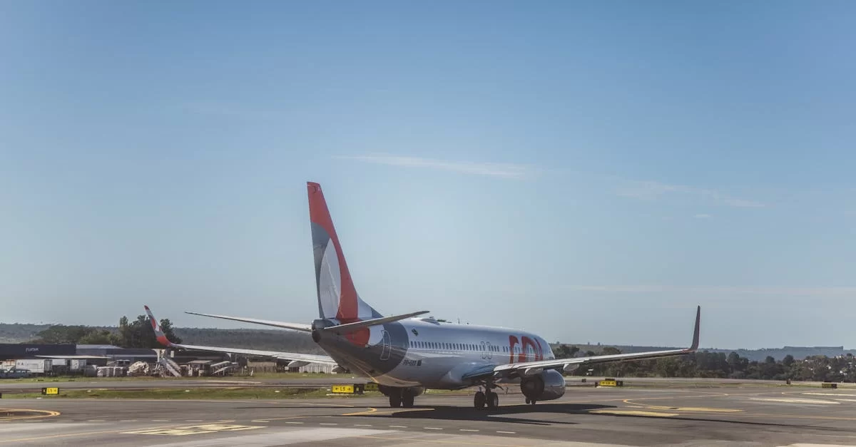 Shanghai Import Agency Customs Declaration, Do You Really Understand It?