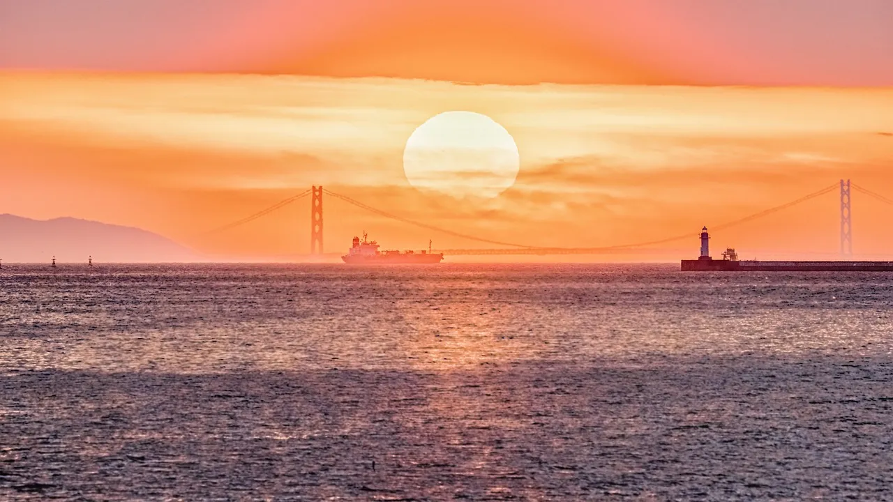 Why Your Transit Trade Payments Are Always Rejected