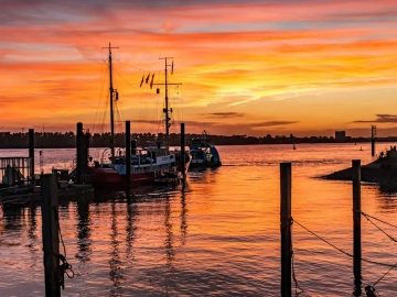 Import Agency Customs Clearance Enterprises? There are truly many intricacies involved!