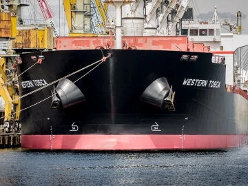 Mandataire pour la demande de licence d’import-export ? Tout ce que vous devez savoir est ici !