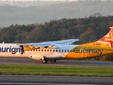 ! Agent d’exportation de vers de farine de Qingdao, voici les astuces !