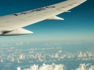 Stupéfiant ! Les sociétés d’agents d’import-export de marchandises recèlent ces secrets