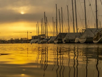 Vertretung für die Beantragung von Import-/Exportlizenzen? Hier finden Sie alles, was Sie wissen müssen!