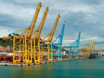 What are the duties of a foreign trade import and export agency?