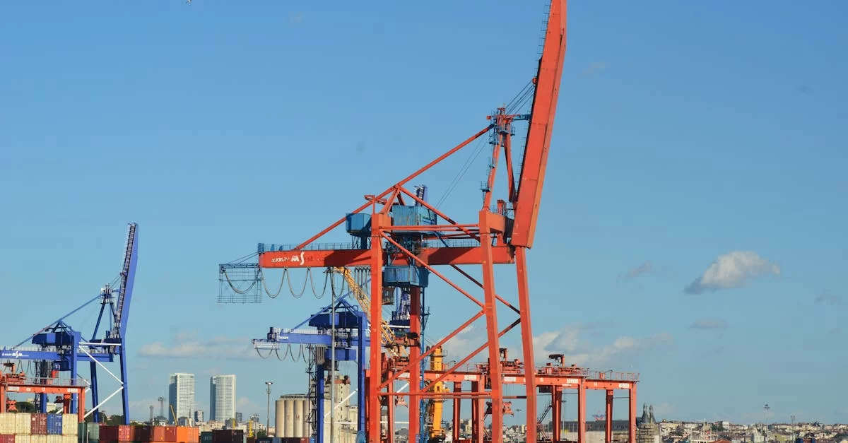 Opening the Door to Qingdao-Vietnam Trade, Agent Companies Are Indispensable!