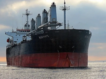 The difference between import and export agent and customs broker