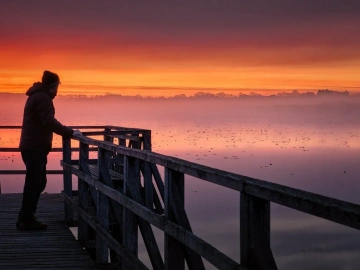 Do You Know the ’Secret Weapon’ of Shunde Export Agent Companies?