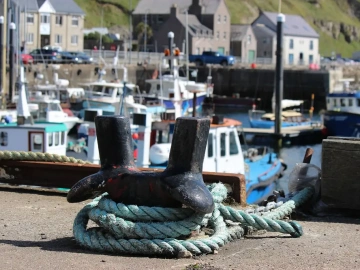 The difference between import and export agent and customs broker