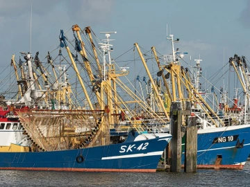 The Great Revelation of Chongming District's Import Remittance Agency Process You Didn't Know