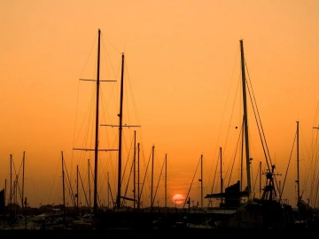 What are the common foreign exchange settlement methods for foreign trade imports?