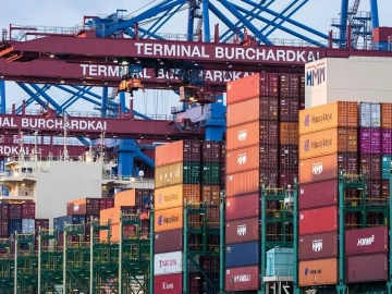 Stop Wasting Efforts! Dongguan Import Agency Services Are This Important