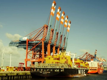 Imported Cosmetics Agency: Million-Dollar Annual Income or Total Loss?