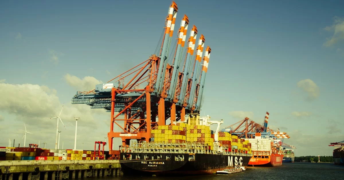 Uncovering Re-export Trade: Why Say "No" Decisively?