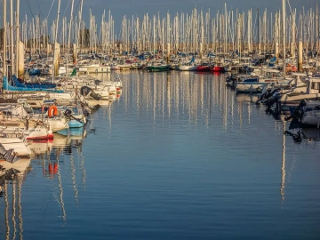 Export Agent Services