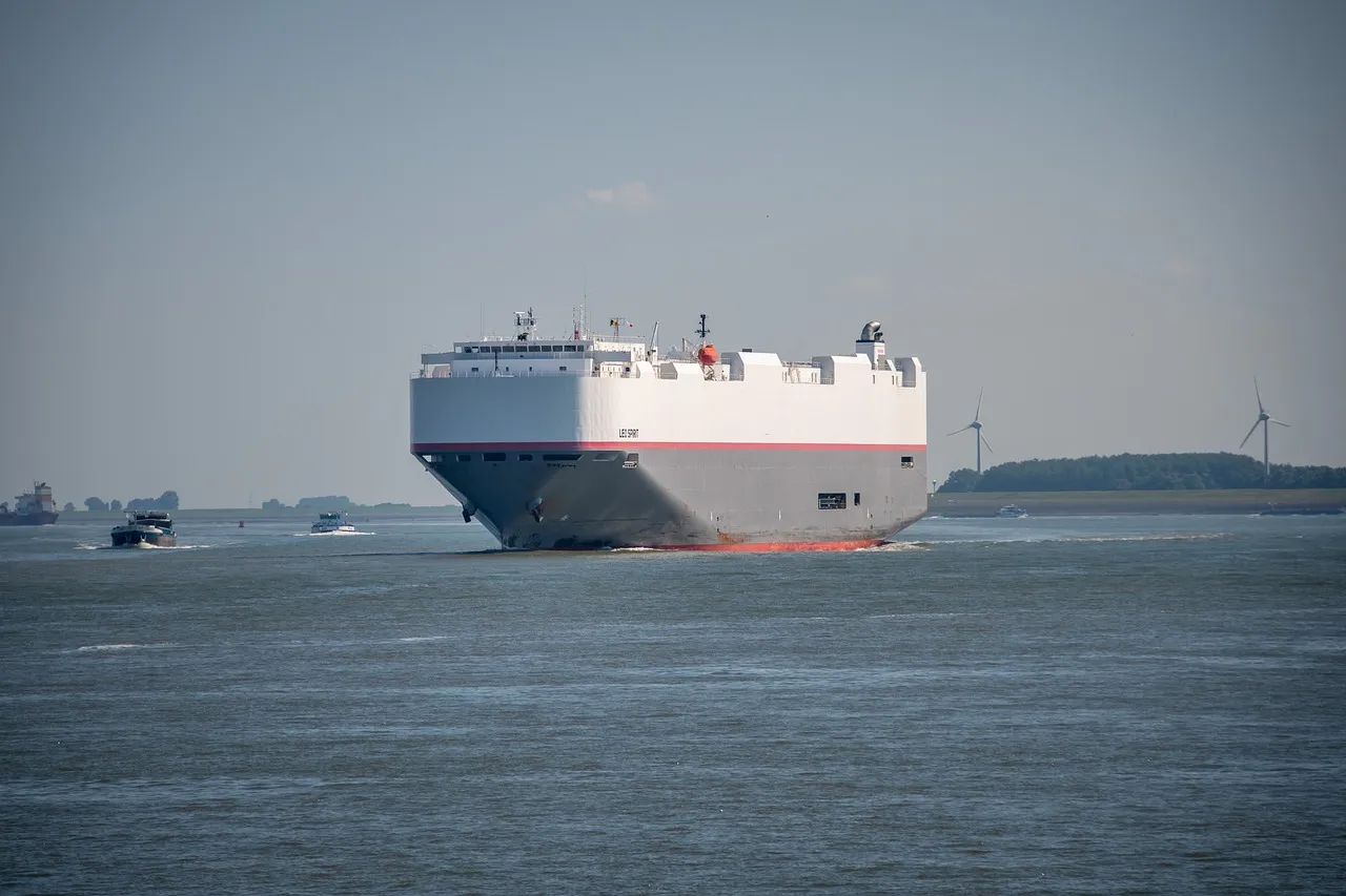 Ein Artikel, der die Import- und Exportagenturgebühren in Xi’an erklärt