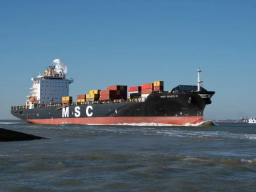 Shocking! So Many Nuances Hidden in Import and Export Agent Tax Payments