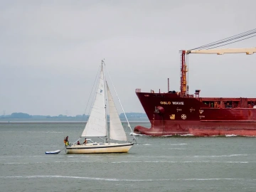 Pigment Imports Always Detained? An Old Shanghai Customs Broker's Guide to Avoiding Pitfalls