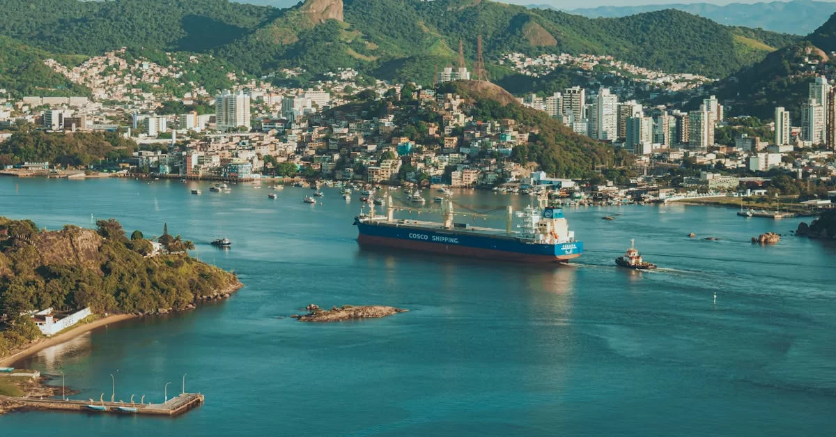 Revelado: Los secretos para tramitar el documento de despacho de exportación