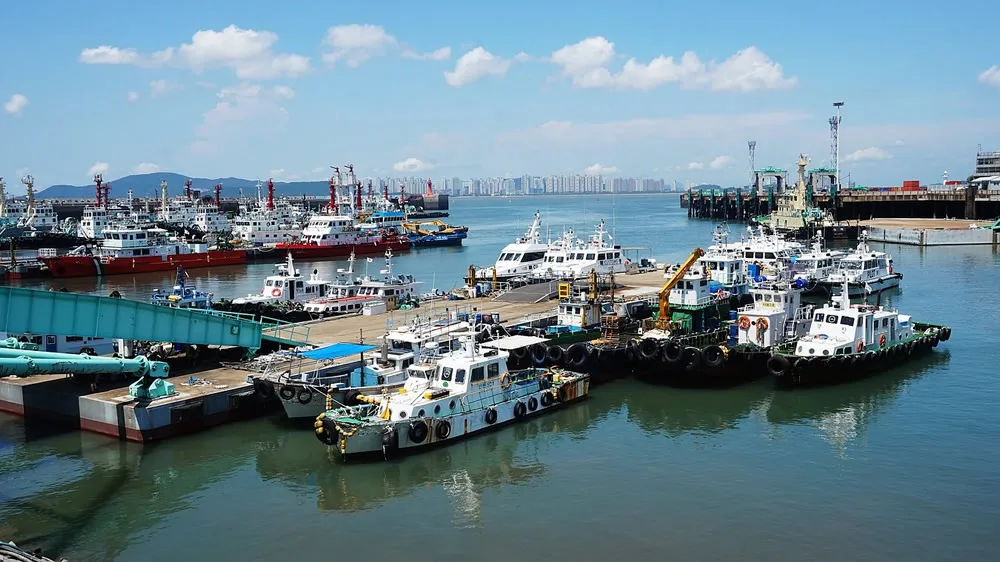 Why European and American families are scrambling for Chinese safes