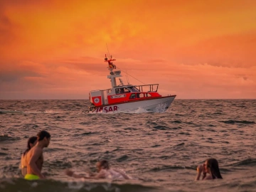 Vertretung für die Beantragung von Import-/Exportlizenzen? Hier finden Sie alles, was Sie wissen müssen!