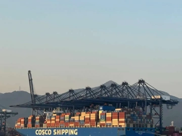 Import and Export License Application Agency? Here's Everything You Need to Know!