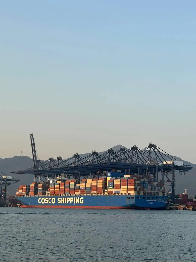 輸入代理業と外国為替の不思議な「化学反応」