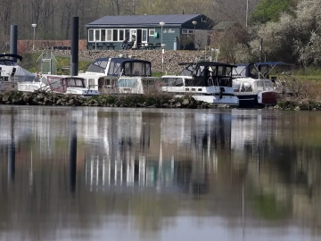 Agent Export Collection? Do You Really Understand the Ins and Outs?