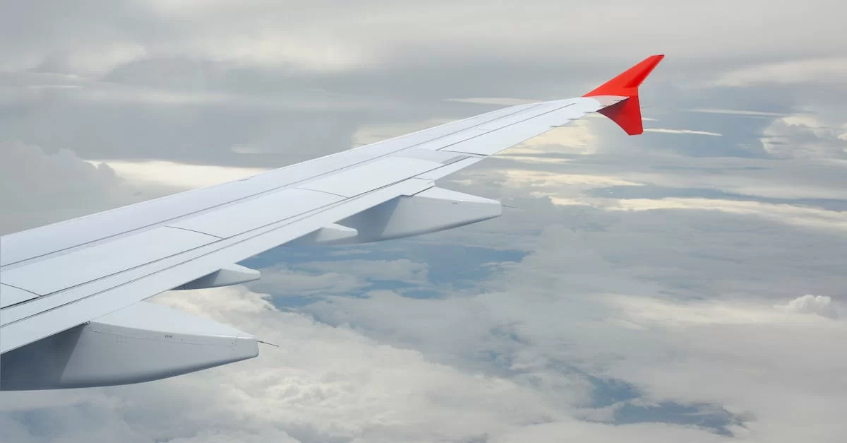 暴露：なぜ輸出代行業者は常に支払いを遅延させるのか？