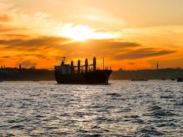 How Important Are Freight Forwarders? You Won't Know Until You Read This!