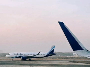 Zone de libre-échange de Shanghai : le dédouanement import par un agent, le comprenez-vous vraiment ?