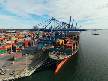 Frustrated by Complex Import/Export Procedures?