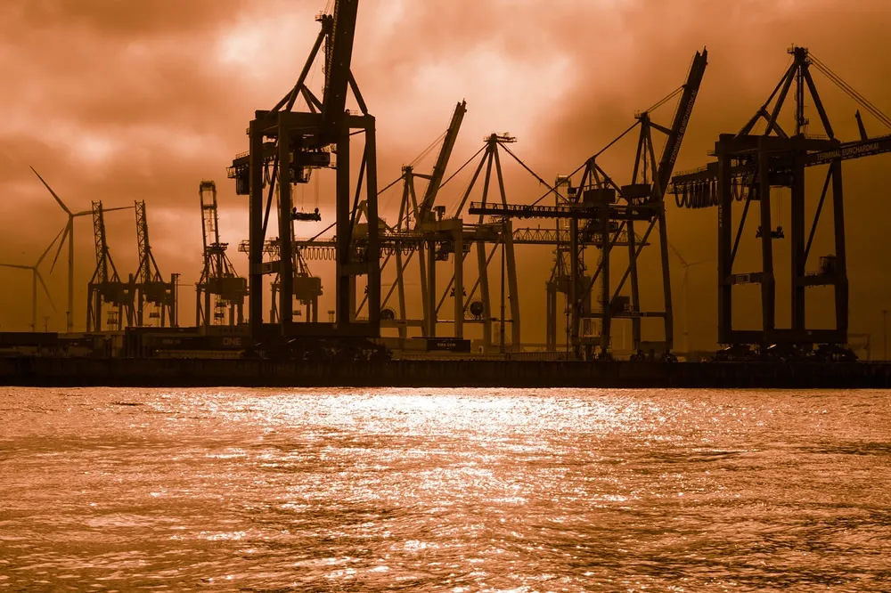 From Earning Millions to Being Fined Millions: A Bitter Lesson in Import/Export Rights Management