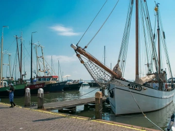 Alcohol Agency Import: Is It Really That Profitable?