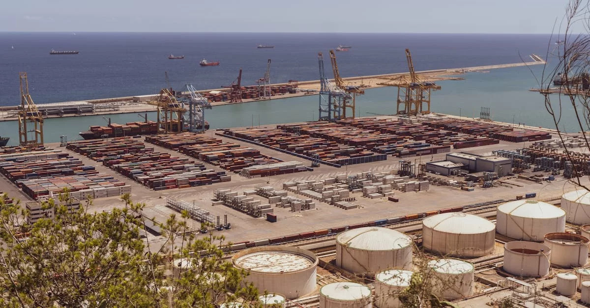 수입 와인 필수 시청! 검역 대행료 전격 분석