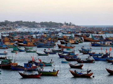 Pourquoi Zhongmaoda, qui propose toujours des services d’agence de transport pour l’import-export, est-il si persévérant ?