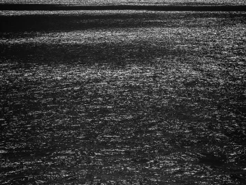 Import von Meeresfrüchten stockt? Möglicherweise sind Sie in diese drei Fallen getappt